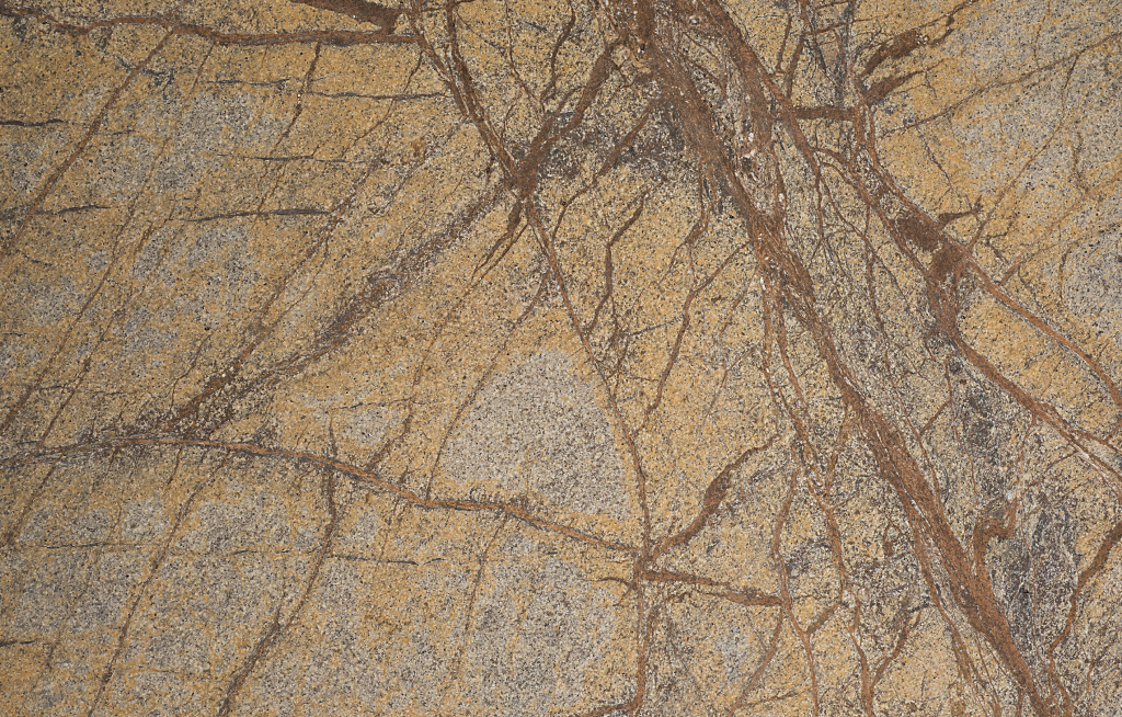 Rainforest Brown