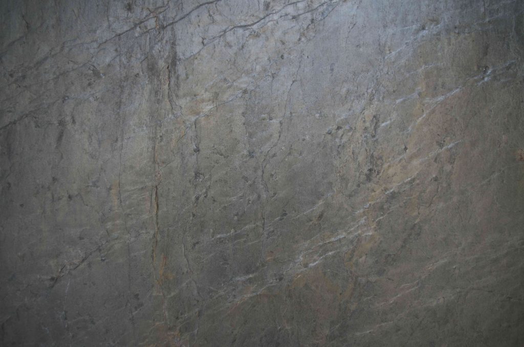 B.Forest Copper