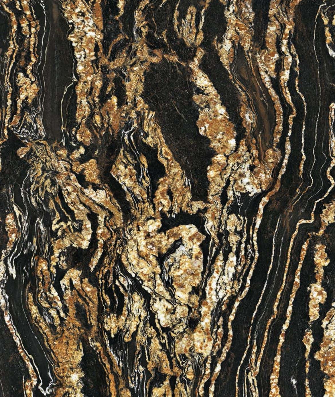 BLACK TAURUS